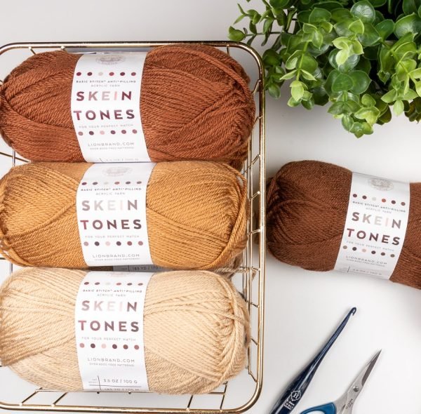 Lion Brand Skein Tones